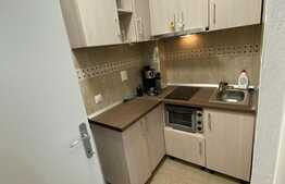 Garsoniera luminoasa si calduroasa, modern utilata si mobilata, 23 mp, Vasile Aaron