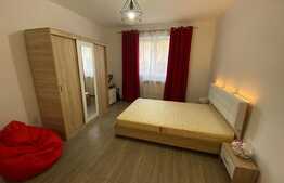 Garsoniera luminoasa si calduroasa, modern utilata si mobilata, 23 mp, Vasile Aaron