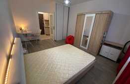 Garsoniera luminoasa si calduroasa, modern utilata si mobilata, 23 mp, Vasile Aaron