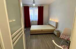 Garsoniera luminoasa si calduroasa, modern utilata si mobilata, 23 mp, Vasile Aaron