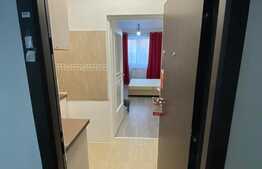 Garsoniera luminoasa si calduroasa, modern utilata si mobilata, 23 mp, Vasile Aaron