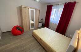 Garsoniera luminoasa si calduroasa, modern utilata si mobilata, 23 mp, Vasile Aaron