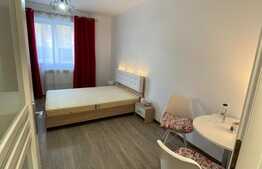 Garsoniera luminoasa si calduroasa, modern utilata si mobilata, 23 mp, Vasile Aaron