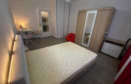 Garsoniera luminoasa si calduroasa, modern utilata si mobilata, 23 mp, Vasile Aaron