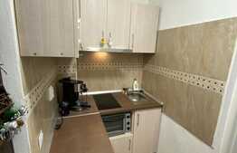 Garsoniera luminoasa si calduroasa, modern utilata si mobilata, 23 mp, Vasile Aaron