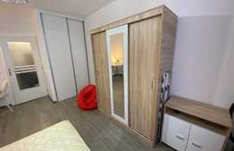 Garsoniera luminoasa si calduroasa, modern utilata si mobilata, 23 mp, Vasile Aaron