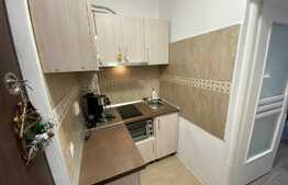 Garsoniera luminoasa si calduroasa, modern utilata si mobilata, 23 mp, Vasile Aaron