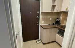 Garsoniera luminoasa si calduroasa, modern utilata si mobilata, 23 mp, Vasile Aaron