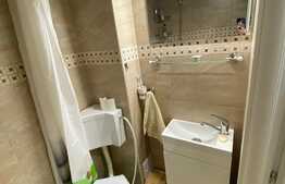 Garsoniera luminoasa si calduroasa, modern utilata si mobilata, 23 mp, Vasile Aaron