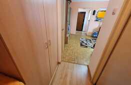 Apartament 2 camere, 55mp, semidecomandat, zona Terezian