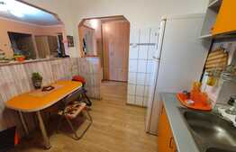 Apartament 2 camere, 55mp, semidecomandat, zona Terezian