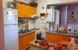 Apartament 2 camere, 55mp, semidecomandat, zona Terezian