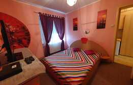 Apartament 2 camere, 55mp, semidecomandat, zona Terezian