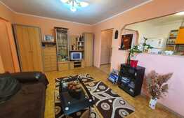Apartament 2 camere, 55mp, semidecomandat, zona Terezian
