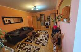Apartament 2 camere, 55mp, semidecomandat, zona Terezian