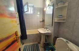 Apartament 2 camere, 55mp, semidecomandat, zona Terezian