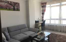 Apartament de lux perfect pentru un cuplu tanar