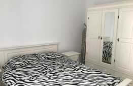 Apartament de lux cu doua locuri de parcare si curte