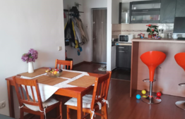 Apartament 2 camere, 46 mp, zona Doamna Stanca