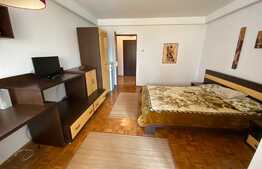 Garsoniera ZONA CENTRALA