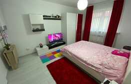 Garsoniera mobilata si utilata Vasile Aaron