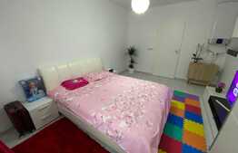 Garsoniera mobilata si utilata Vasile Aaron