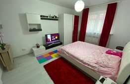 Garsoniera mobilata si utilata Vasile Aaron