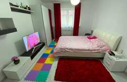 Garsoniera mobilata si utilata Vasile Aaron