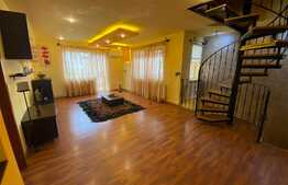 Penthouse de lux Strand