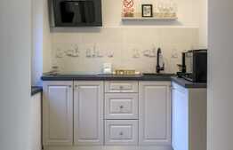 APARTAMENT ZONA CENTRALA- PIATA MICA