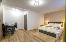 APARTAMENT ZONA CENTRALA- PIATA MICA