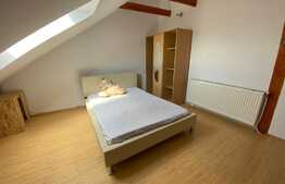 Apartament la mansarda Valea Aurie