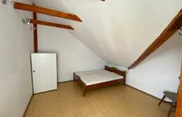 Apartament la mansarda Valea Aurie