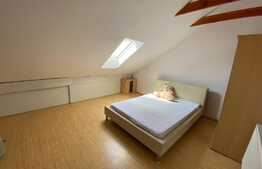 Apartament la mansarda Valea Aurie