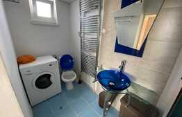 Apartament la mansarda Valea Aurie