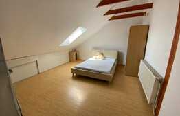 Apartament la mansarda Valea Aurie