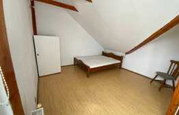 Apartament la mansarda Valea Aurie