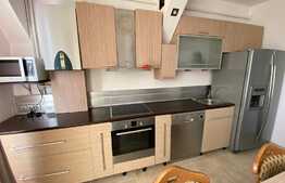 Apartament la mansarda Valea Aurie