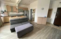 Apartament la mansarda Valea Aurie