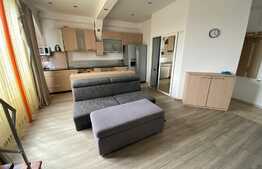 Apartament la mansarda Valea Aurie