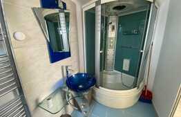 Apartament la mansarda Valea Aurie