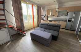 Apartament la mansarda Valea Aurie