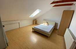 Apartament la mansarda Valea Aurie