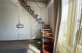 Apartament la mansarda Valea Aurie