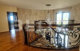 Vila de lux 10 camere, 1000 mp utili si 4000 mp curte libera, Tractorului