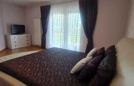 Vila de lux 10 camere, 1000 mp utili si 4000 mp curte libera, Tractorului