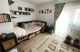 Apartament 3 camere Pictor Brana