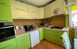 Apartament 3 camere Pictor Brana