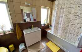 Apartament 3 camere Pictor Brana