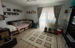 Apartament 3 camere Pictor Brana